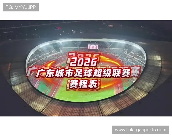 粤超最新积分榜解析：球队排名变化与赛季争冠形势深度解读